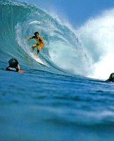 The Way of the Surfer: Living it 1935 to Tomorrow артикул 13471c.