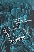 The Spatial Economy: Cities, Regions, and International Trade артикул 13680c.
